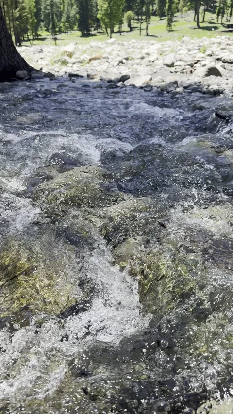 Pristine Waters of Kumrat River Stock Footage 309808450