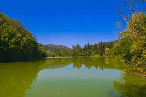 The pristine waters of the lake mirror the vibrant trees and the expansive .. Stock Photos
