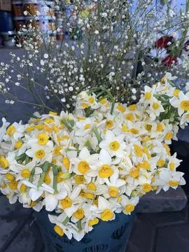 A pristine white bloom representing purity and peace.yellow Stock Photos