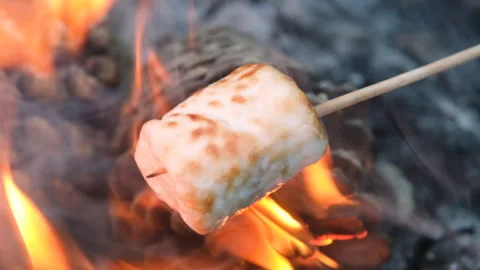 A pristine white marshmallow is held above burning logs. No browning yet, just Stock Footage 311198238