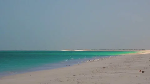 Pristine White Sand Beach and Turquoise Water at Bar Al Hickman, Oman Video stock 324854821