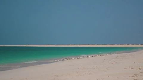 Pristine White Sand Beach and Turquoise Water at Barr Al Hikman, Oman Stock Footage 324855815