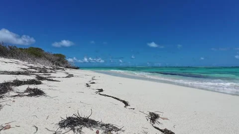 Pristine White Sand Beach and Turquoise Water in Caribbean Paradise Vídeo Stock 333527380