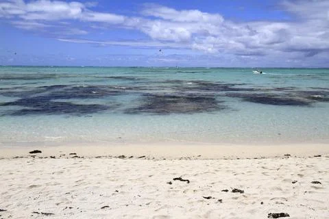 A Pristine White Sandy Beach Meets the Clear Turquoise Ocean, Mauritius 写真素材