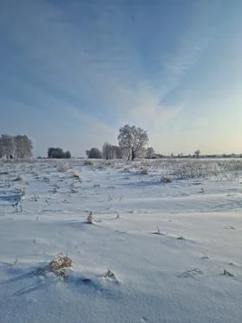 Pristine White Snowy Field under a Clear Blue Sky in Rural Russia Stock Photos