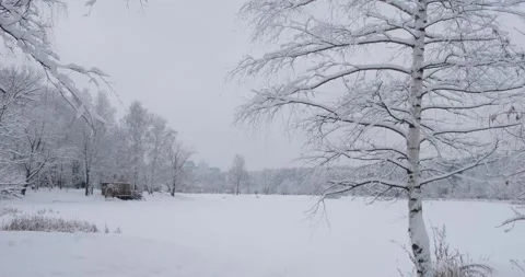 Pristine winter scene showing trees heavily blanketed with snow, with a wooden Stock Footage 253285967