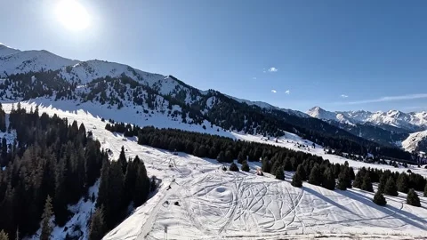 Pristine winter wilderness: frosted pine trees under high mountain summits Stock Footage 331573753