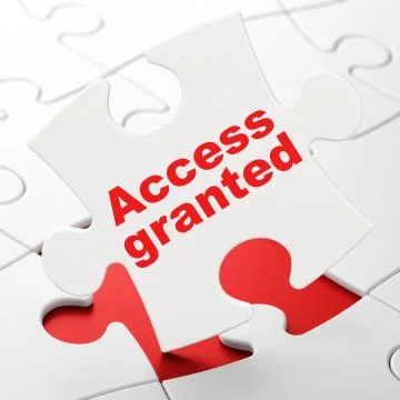 Privacy concept: Access Granted on puzzle background 库存插图