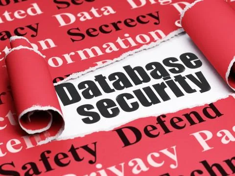 Privacy concept: black text Database Security under the piece of  torn paper 스톡 일러스트