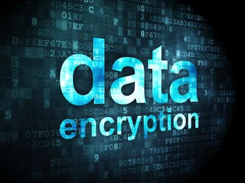 Privacy concept: Data Encryption on digital background Stock Illustration