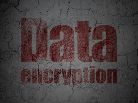 Privacy concept: Data Encryption on grunge wall background Stock Illustration