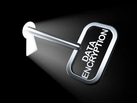 Privacy concept: Data Encryption on key Stock Illustration