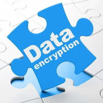 Privacy concept: Data Encryption on puzzle background Stock Illustration