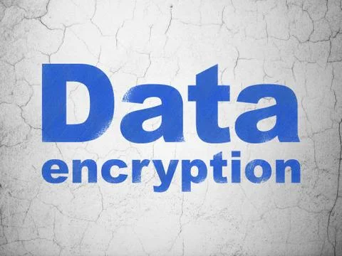 Privacy concept: Data Encryption on wall background Illustrazione stock