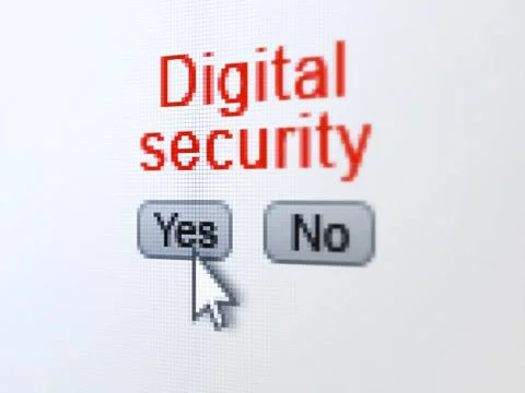 Privacy concept: Digital Security on digital computer screen 库存插图