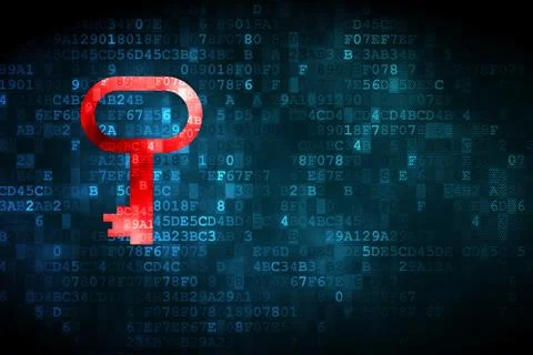 Privacy concept: Key on digital background Stock Illustration