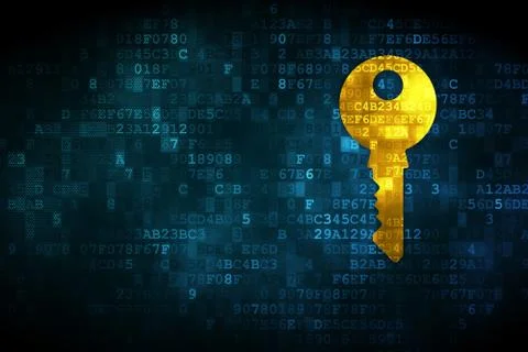 Privacy concept: Key on digital background Stock Illustration