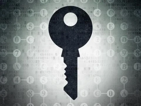 Privacy concept: Key on Digital Paper background 스톡 일러스트