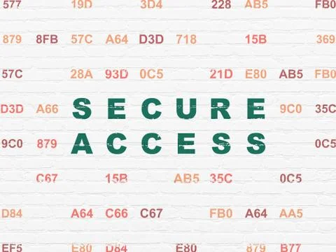 Privacy concept: Secure Access on wall background Stock Illustration