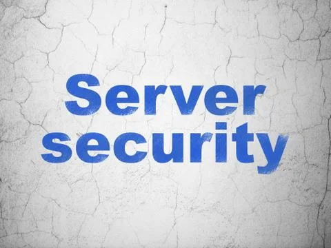 Privacy concept: Server Security on wall background Stock Illustration