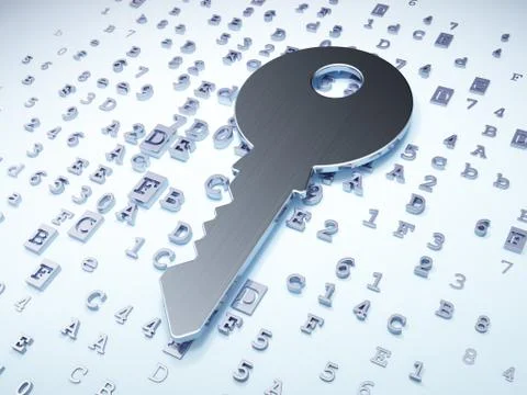 Privacy concept: Silver Key on digital background Stock Illustration