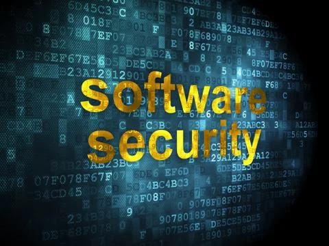 Privacy concept: Software Security on digital background Stock-Illustration