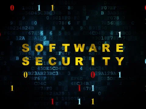 Privacy concept: Software Security on Digital background Stock-Illustration