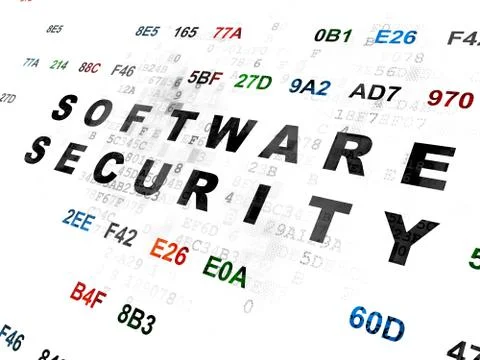Privacy concept: Software Security on Digital background Stock Illustration