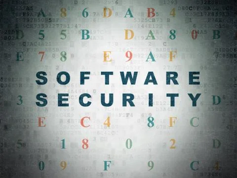 Privacy concept: Software Security on Digital Paper background Stock-Illustration