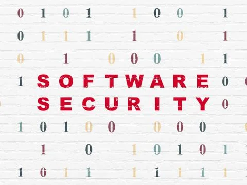 Privacy concept: Software Security on wall background Stock-Illustration