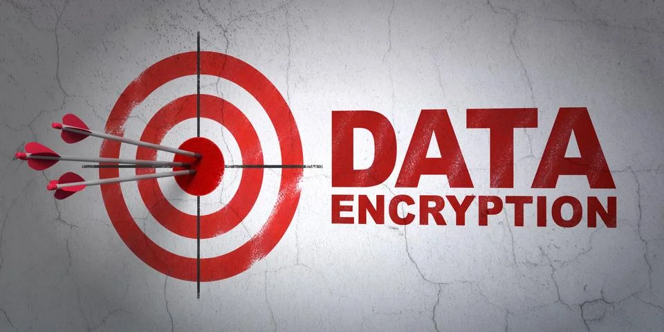 Privacy concept: target and Data Encryption on wall background Illustrazione stock