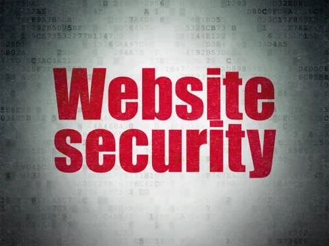 Privacy concept: Website Security on Digital Data Paper background Stock Illustration