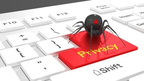 Privacy keyboard spider Illustrazione stock