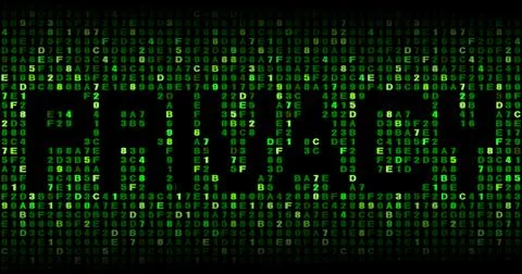 Privacy text on hex code illustration Stock Illustration