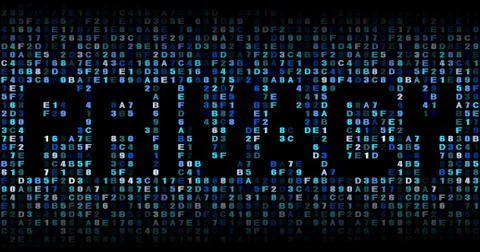 Privacy text on hex code illustration イラスト素材