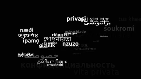 Privacy Translated in 43 Worldwide Languages Endless Looping 3d Zooming Wordc Stock-Footage 145216908