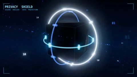 Privacy vault lock rings enclave 스톡 동영상 339995223
