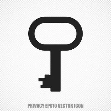 Privacy vector Key icon. Modern flat design Stock Illustration