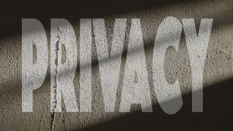 Privacy Written  on a Repaired Wall Stock Illustration