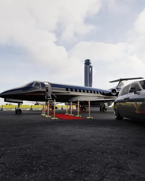 Private airlines  스톡 동영상 332064889