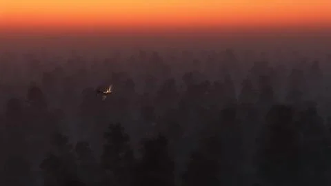 Private airplane over pine forest in mist at sunset. Stock Photos