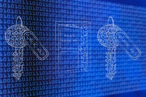 Private and public encryption keys next to data access door with messy binary Illustrazione stock