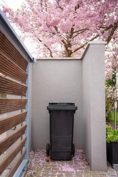 A private black garbage container is located next to the sakura tree. Stock Photos