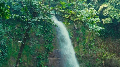 A private cascading waterfall flows through a lush rainforest in Ecuador Stock Footage 345092177