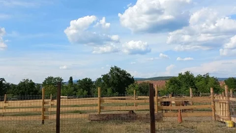 Private Estate Backyard View Cattle Famous Master Carpenter Stock-Footage 341699887