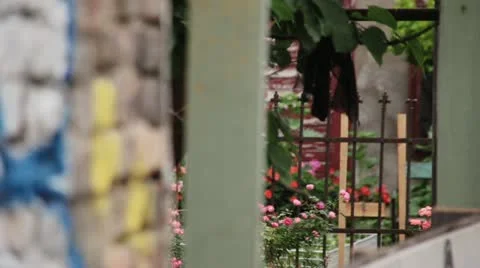 Private Garden next to wall  (Focus Pull) Stock Footage 22054309