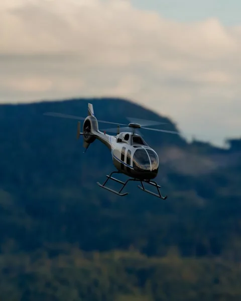 Private helicopter flight Video stock 304174417