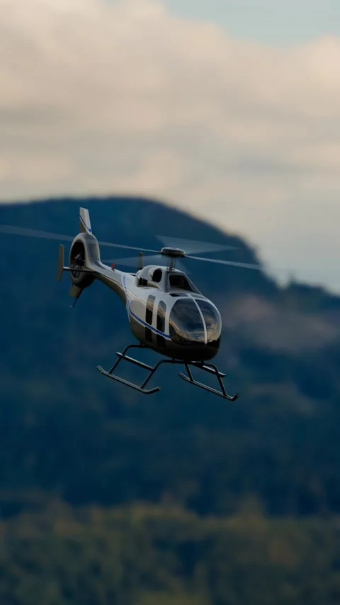 Private helicopter flight Stock Footage 304174429