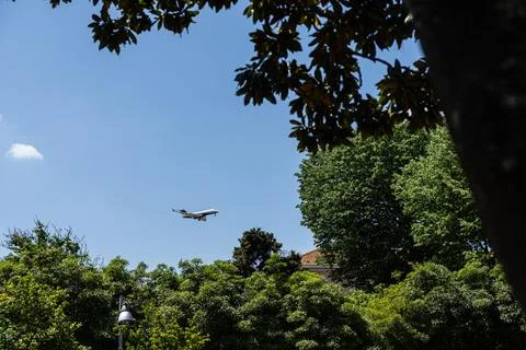 Private Jet Flight Clear Blue Sky Framed Trees Photo Stock Photos