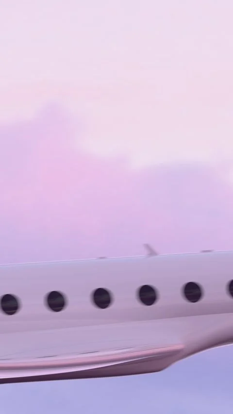 Private jet flight Видео 328364095